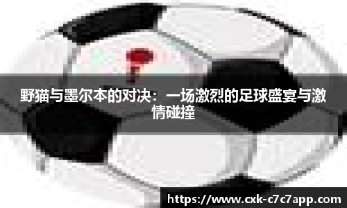野猫与墨尔本的对决：一场激烈的足球盛宴与激情碰撞